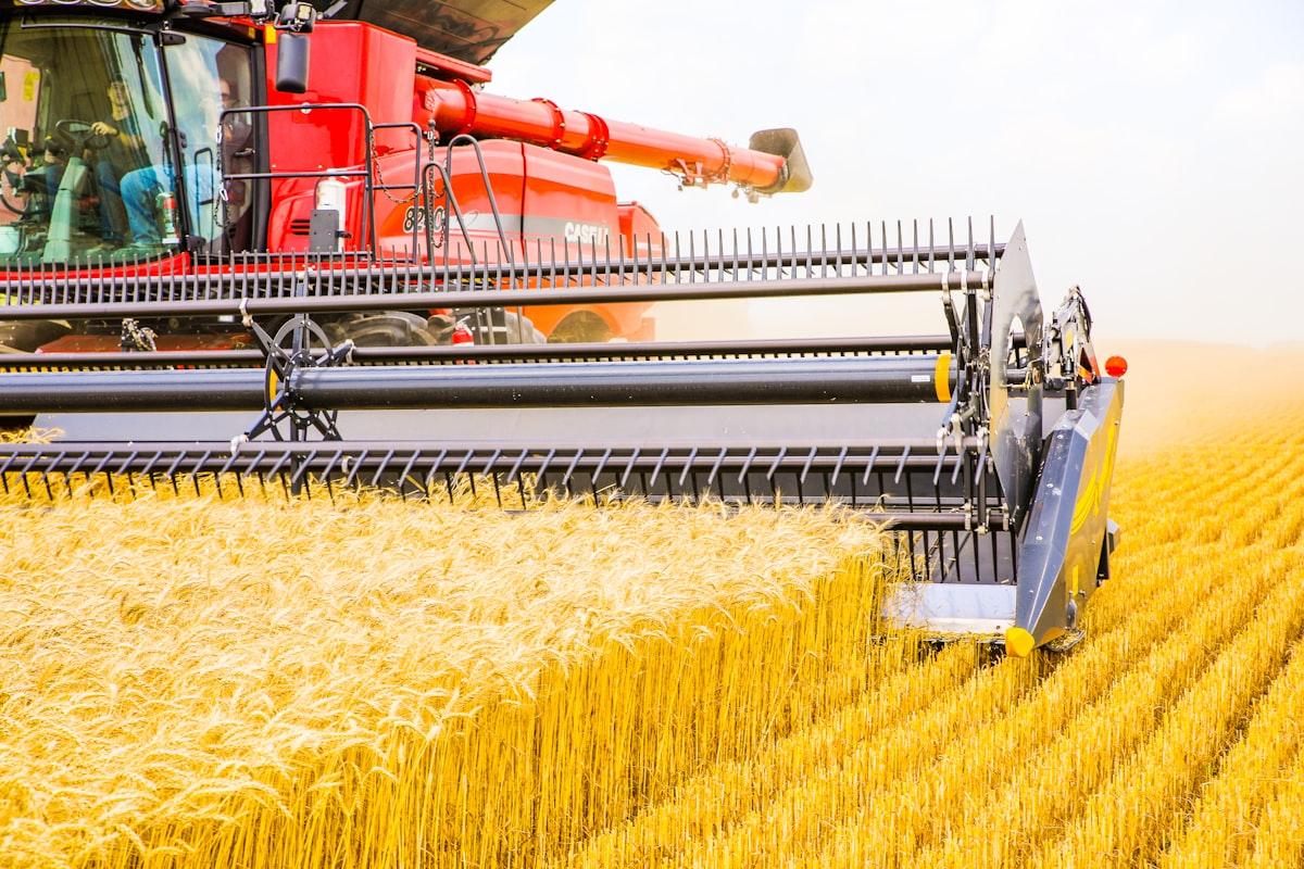Combine harvester working in a grain field