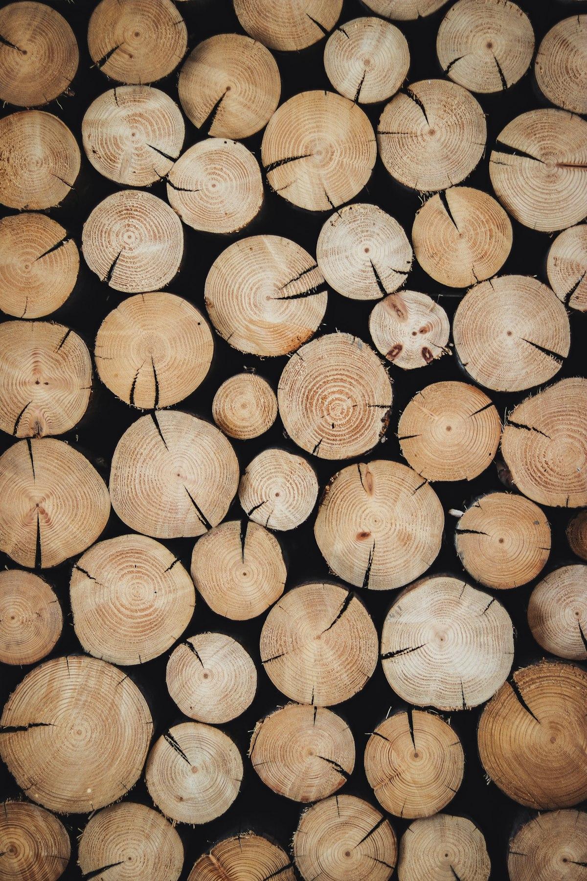 Close-up of stacked timber logs
